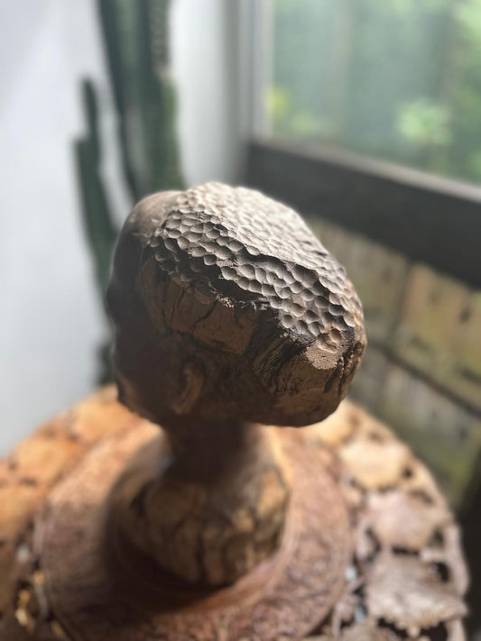 Mid Century African Hardwood Bust – Makonde Style Tribal Sculpture
