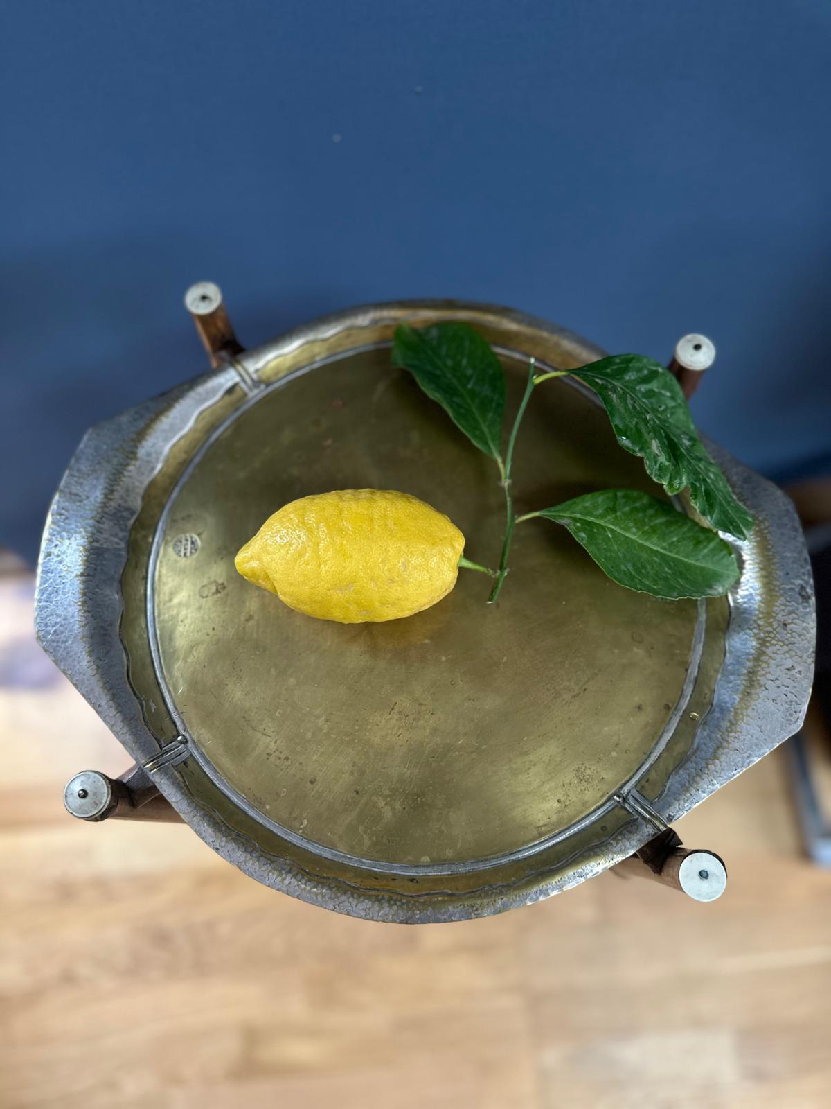 Vintage Bamboo Plant Stand with Brass Tray - "Execute PAR LO-YS A LA MAIN"